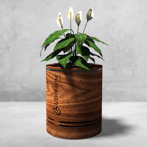 UBreathe Mini Classic Plant Based Air Purifier With 4 Stage Filtration Helps In Removing Indoor Air Pollutants, Suitable For Gifting,Portable And Light Weight With Wooden Finish