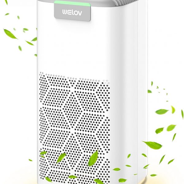 Air Purifiers for For Large Room, Welov Odor Eliminating air purifier (White)